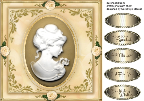 Beautiful Seige And Gold Cameo
