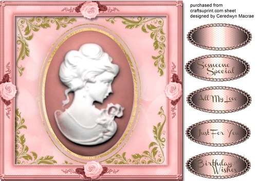 Beautiful Pink And Gold Cameo