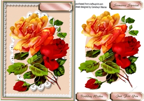 Beautiful Roses on a Lace Mmat
