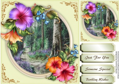Beautiful Hibiscus and Scene 