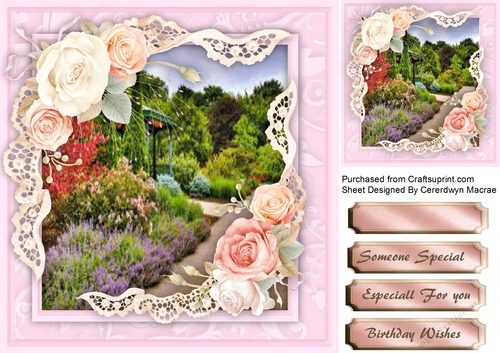 Stunning Roses and Vintage Lace 