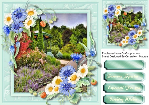 Stunning Wild Flowers and Fruit, 