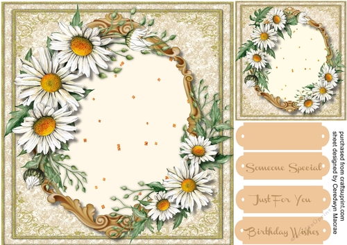 Beautiful Daisys  in a gold frame 