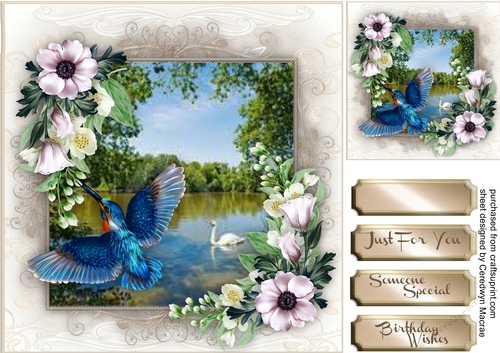 Stunning Humming Bird and Jasmine