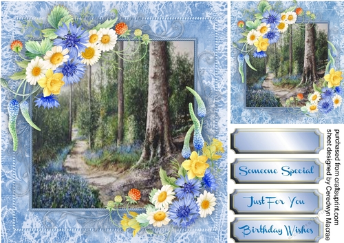 Beautiful Cornflowers ,Daisys and Fruits 