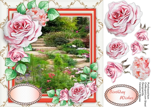 Stunning Pink Roses and Stepping Stones 