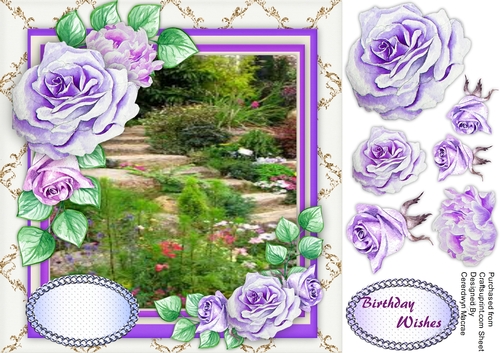 Stunning Lilac Roses and Stepping Stones 
