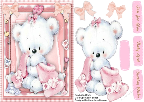 Beautiful Bear in a Pink Blanket 