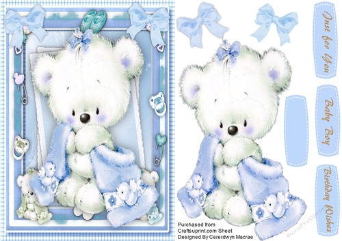 Beautiful Bear in a Blue Blanket 