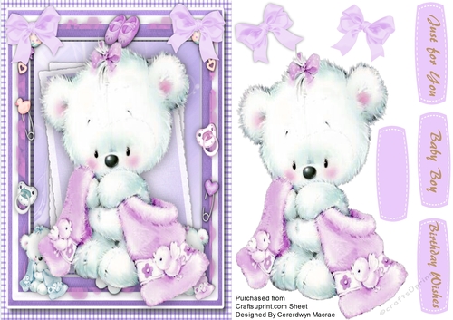 Beautiful Bear in a Lilac Blanket 