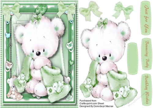 Beautiful Bear in a green Blanket 