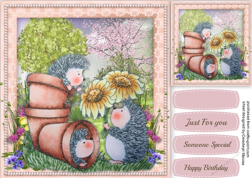 Pots of Hedgehog Love 