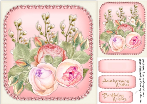 Stunning Roses on a Pink Mat