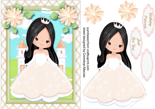 A5 Birthday Princess 1