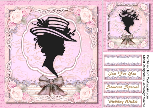 Beautiful Silhouette Lady in Soft Pink