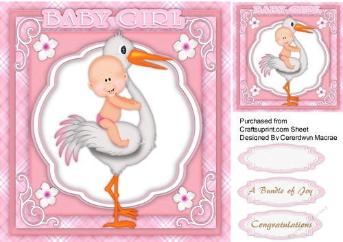 A Bundle Of Joy Pink