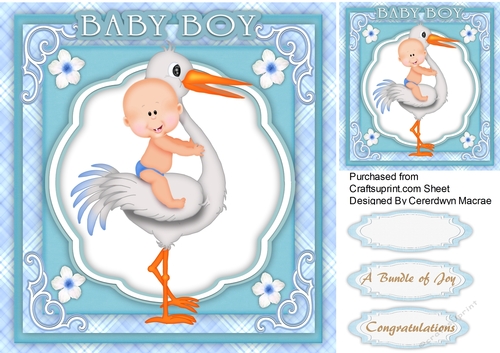 A Bundle Of Joy Blue 