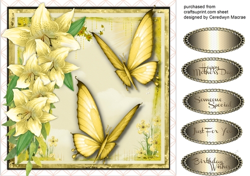 Stunning Summer Butterflys and Lillys 1