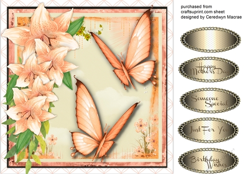Stunning Summer Butterflys and Lillys 2 