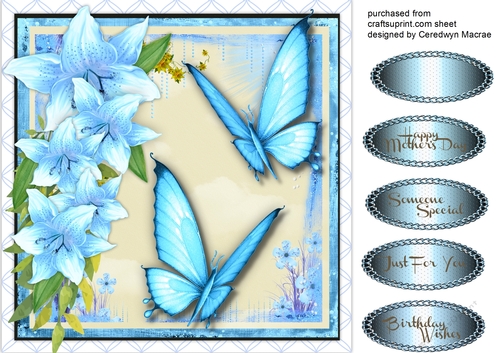 Stunning Summer Butterflys and Lillys 3