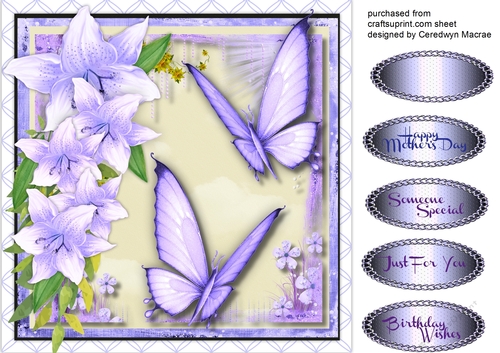 Stunning Summer Butterflys and Lillys  4
