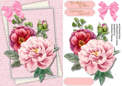 Beautiful Pink Roses on a script mat 