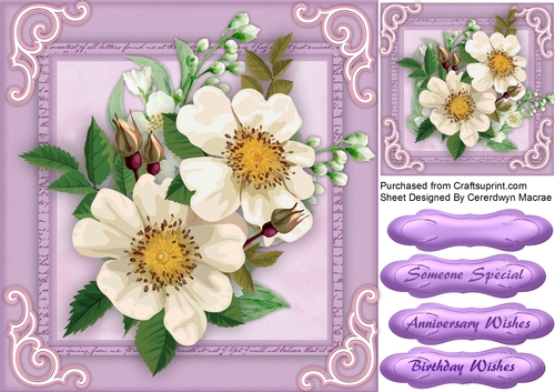 White Roses and Jasmine 