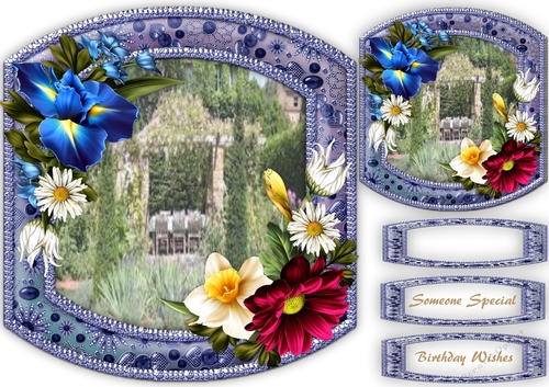 Beautiful Spring Flowers and Daisys 