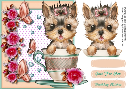 Over The Edge ,Yorkie in a Teacup,