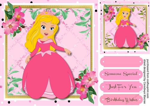 Beautiful Princess in Pink