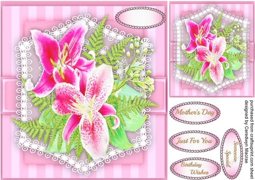 Beautiful Pink Flower lily on lace 