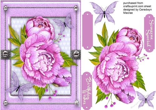 Beautiful Lilac Peony Rose and Butterflys 