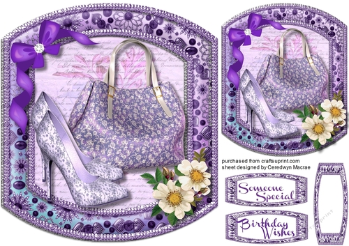 Shoes, Bags and Bow  1,