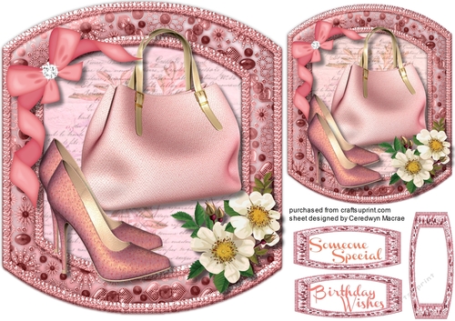 Shoes, Bags and Bow  2,