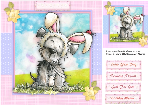 Adorable Bell Bunny Boo