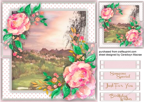 Sunrise and Roses 