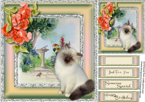 A friend in the Garden