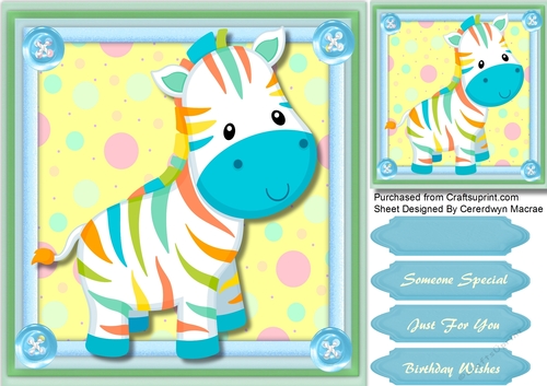 Lovely Little Rainbow Zebra