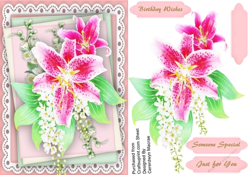 A5 Beautiful Jasmine And Lillys 