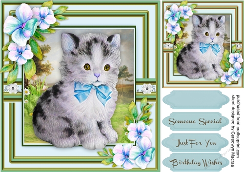 Beautiful Kitten and Pencil Flowers 