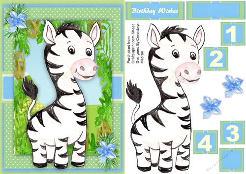 Beautiful Safari Zebra