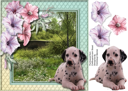 Beautiful Dalmation and Petunias 
