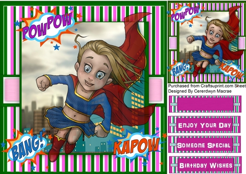 The Hero Girl