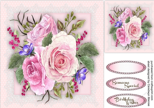 Stunning Pink Roses on Vintage Lace 