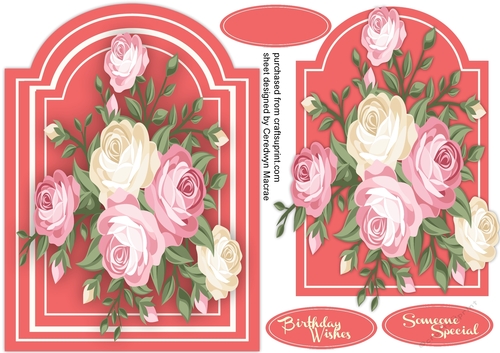 Beautiful Pink  Roses on Coral Mat 