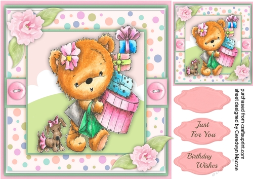 Bear Born To Shop