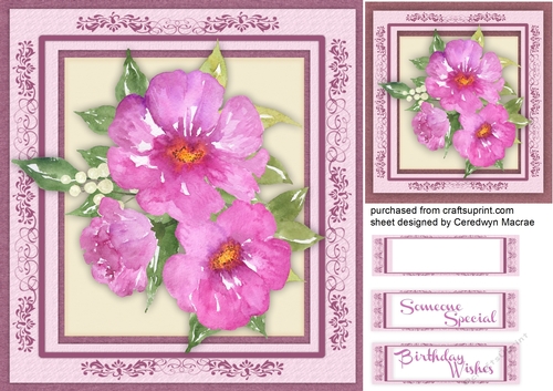 Beautiful Pink Flowers in a Ornate Frame 