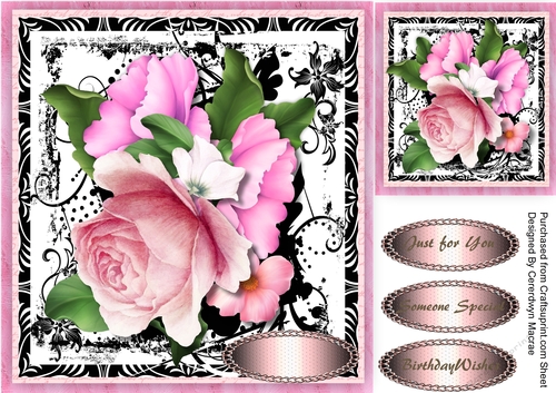 Beautiful Pink Roses on  a Monochrome mat 