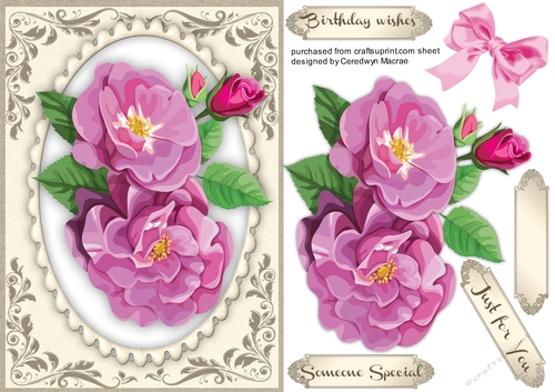 Beautiful Cerise Roses on a Silver and Sepia Mat 