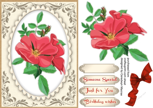 Beautiful Red Roses on a Silver and Sepia Mat 